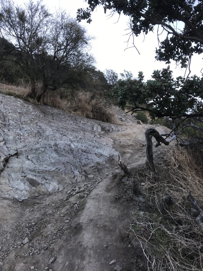 Cerro Manquehue Day Hike in Santiago, Chile Trail